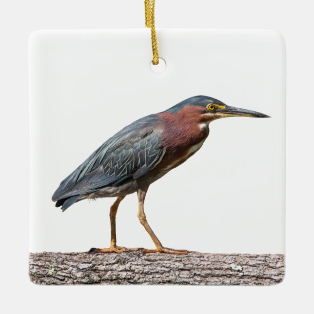 Green Heron Ceramic Ornament (Front)