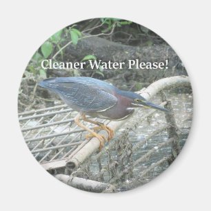 Green Heron Ecology magnet