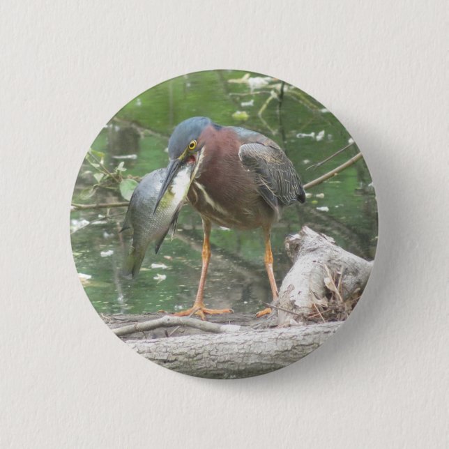 Green Heron gone fishing button (Front)