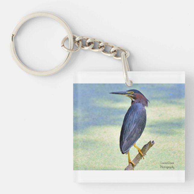 Green Heron Keychain (Front)