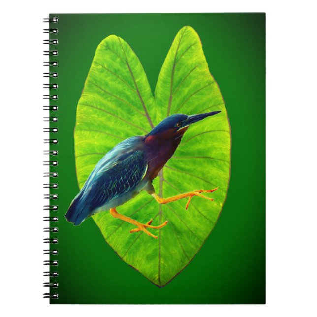 Green heron notebook (Front)