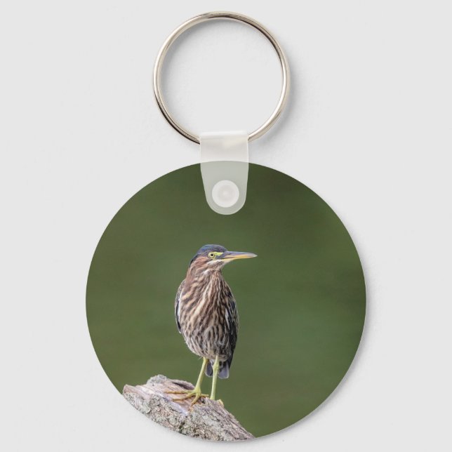Green Heron on a log Keychain (Front)