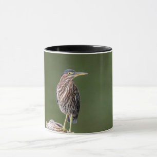Green Heron on a log Mug