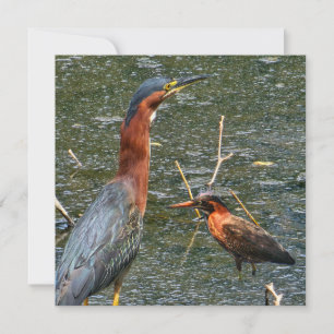Green Heron Reusable Grocery Bag Save The Date