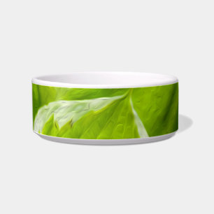 Green Hosta Leaves Bowl