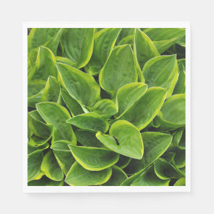 Green hosta plant leaves napkin