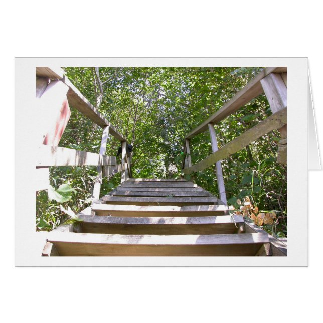 Green House Steps (Front Horizontal)