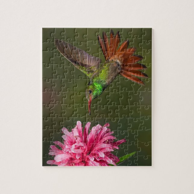 Green hummingbird and flower puzzle (Vertical)