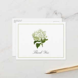 Green Hydrangea Bloom Traditional Thank You Postcard