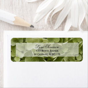 Green Hydrangea Flower Adresse de retour
