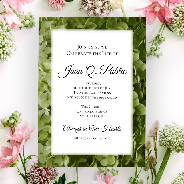 Green Hydrangea Flowers Celebration of Life  Invitation (Creator Uploaded)