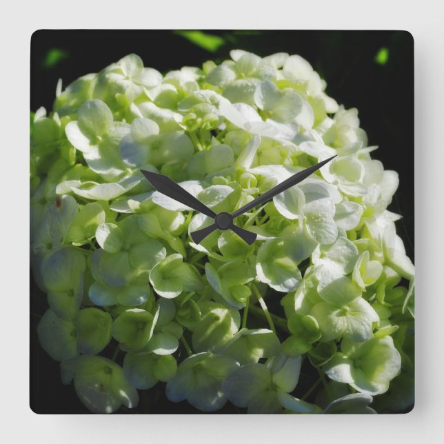 Green Hydrangeas Flowers Square Wall Clock (Front)