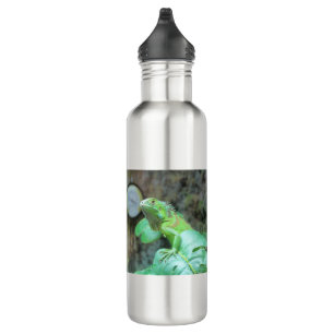 Green iguana 710 ml water bottle