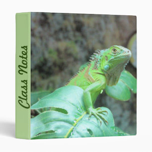 Green iguana binder