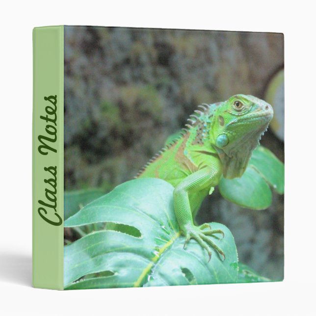 Green iguana binder (Front/Spine)