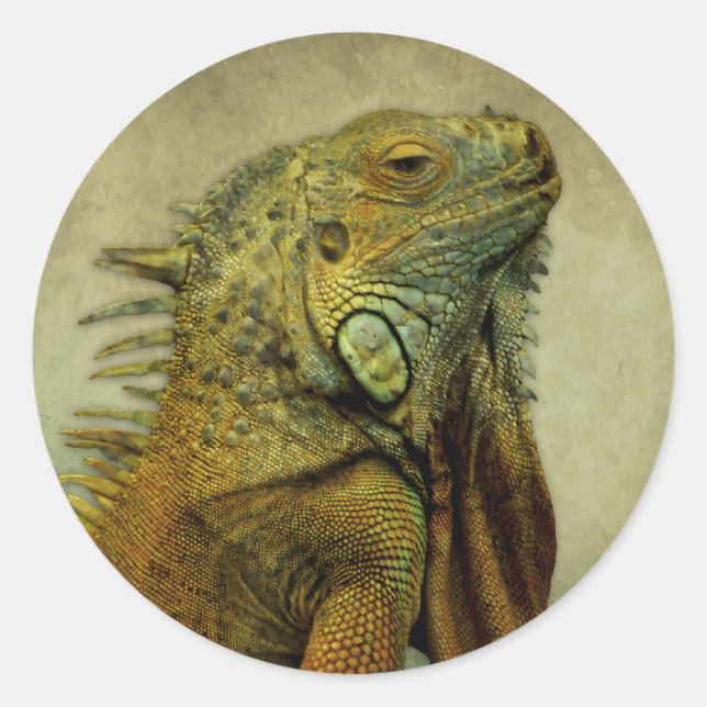 Green Iguana Classic Round Sticker (Front)
