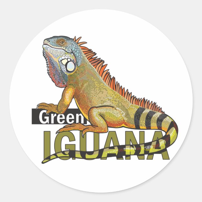 green iguana classic round sticker (Front)