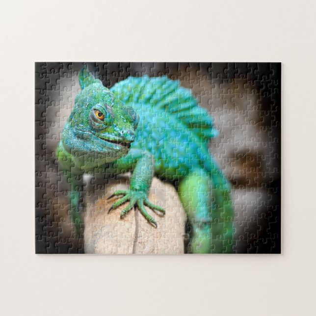 Green Iguana Close-up, Jigsaw Puzzle (Horizontal)