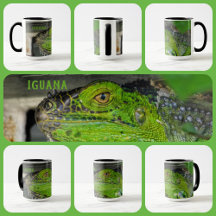 Green Iguana Close-up Photographic Personalized