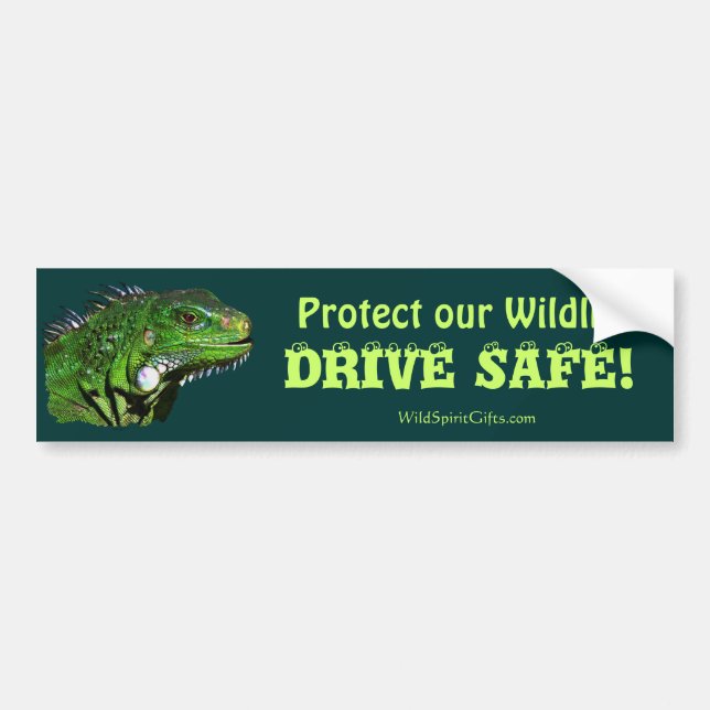 Green Iguana Collection Bumper Sticker (Front)