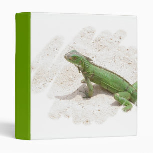 Green Iguana Lizard Binder