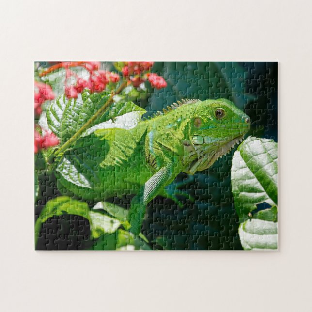 Green Iguana Lizard Jigsaw Puzzle (Horizontal)