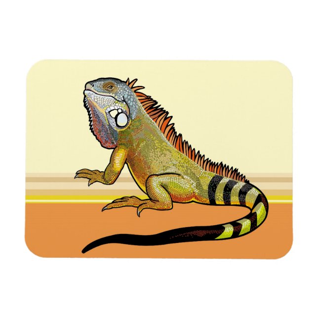 green iguana magnet (Horizontal)
