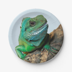 Green iguana paper plate