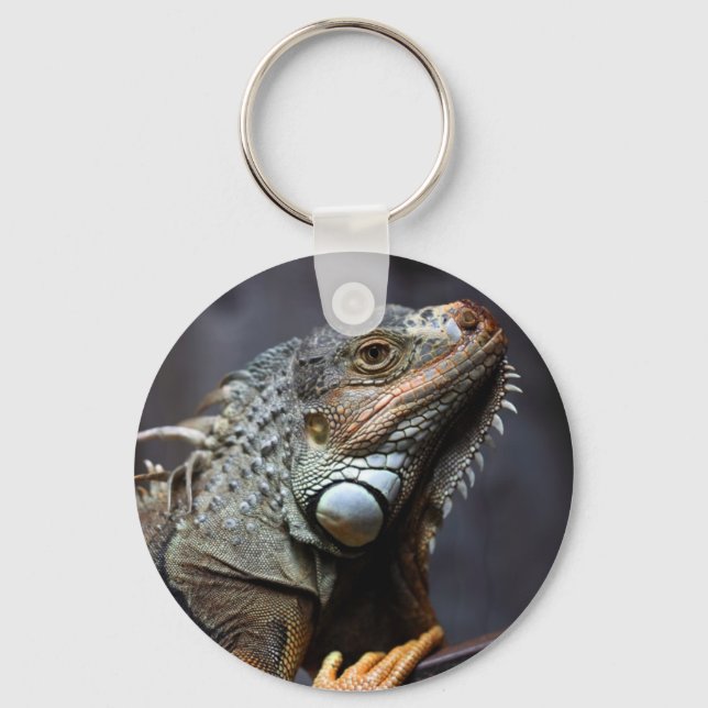 Green iguana portrait keychain (Front)