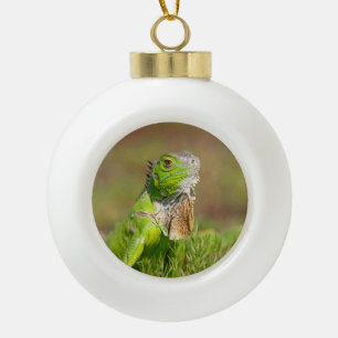Green Iguana Portrait Reptile Photography Ceramic Ball Christmas Ornament