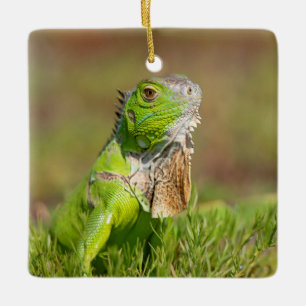 Green Iguana Portrait Reptile Photography Ceramic Ornament