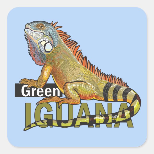 green iguana square sticker (Front)