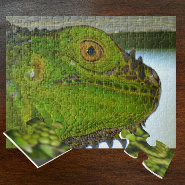 Green Iguana Up Close and Personal Photographic Jigsaw Puzzle (Creator Uploaded)