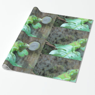 Green  iguana  wrapping paper