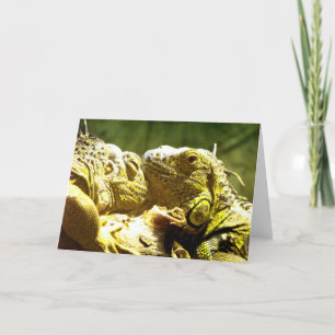 Green iguanas holiday card