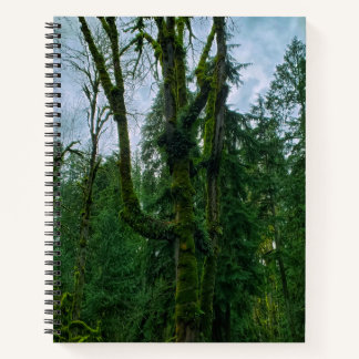 Green in the Trees College-Ruled Notebook