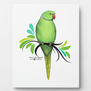 Green Indian Ringneck Parrot Plaque