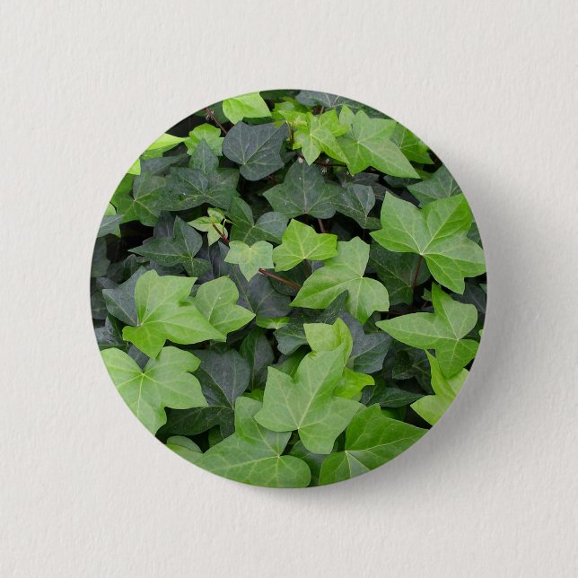Green Ivy Botanical Print 2 Inch Round Button (Front)