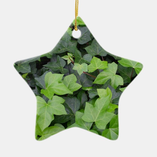 Green Ivy Botanical Print Ceramic Ornament (Front)