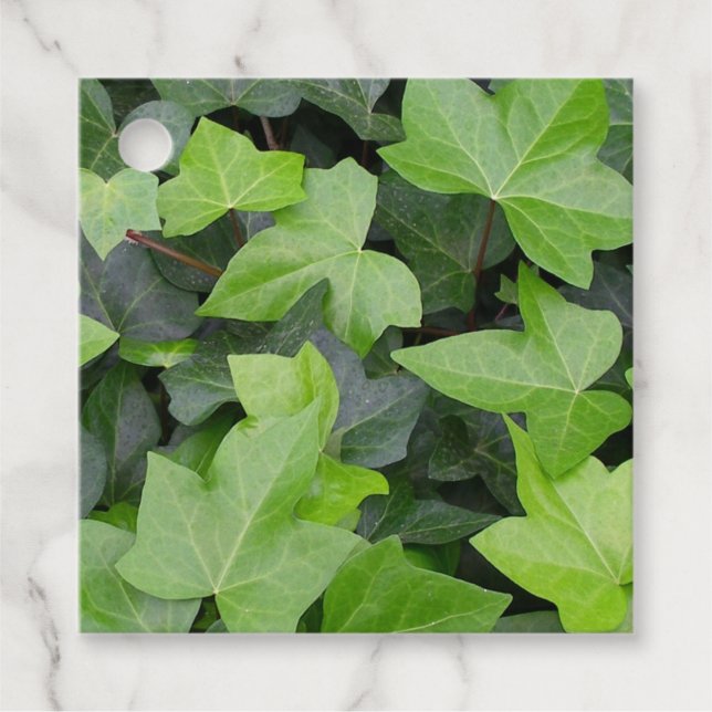 Green Ivy Botanical Print Favour Tags (Front)