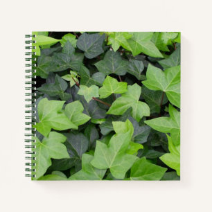 Green Ivy Botanical Print Notebook
