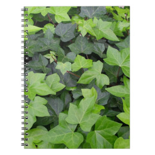Green Ivy Botanical Print Notebook