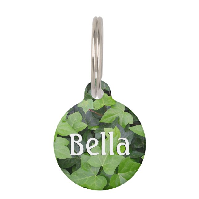 Green Ivy Botanical Print Pet Tag (Front)