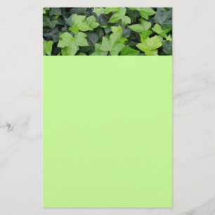 Green Ivy Botanical Print Stationery