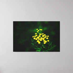 Green Jacket With Golden Buttons Canvas Print