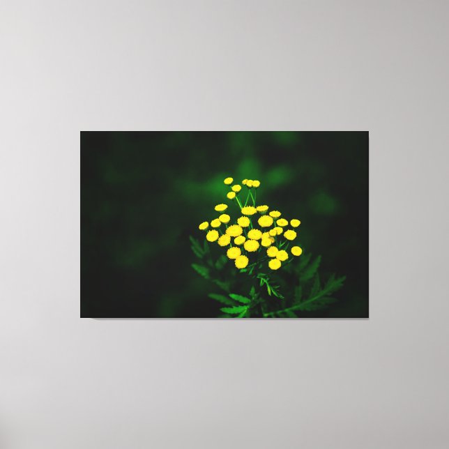 Green Jacket With Golden Buttons Canvas Print (Front)