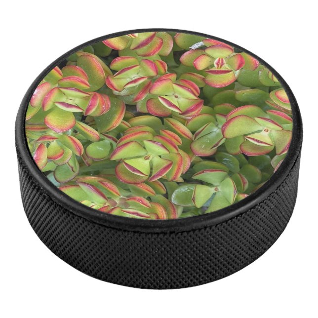 Green Jade, Hockey Puck (3/4)