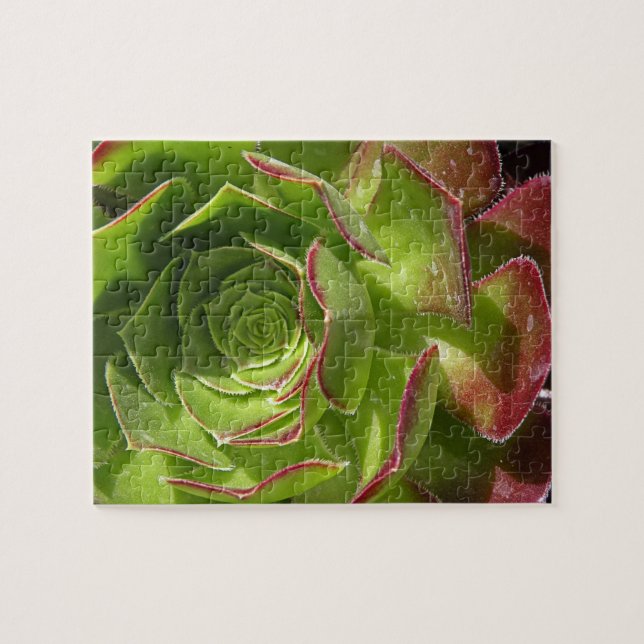 Green Jigsaw Puzzle (Horizontal)