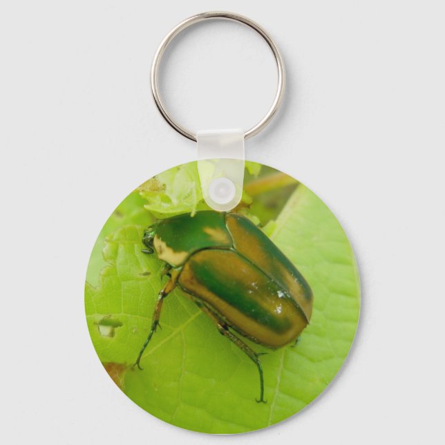 Green June Beetle Keychain (Front)