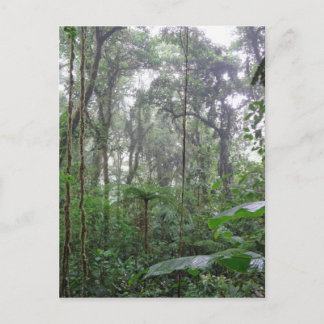 green jungle postcard